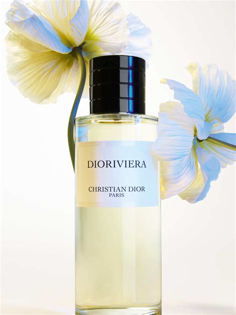 dior riviera fragrance|dior dioriviera summer 2022.